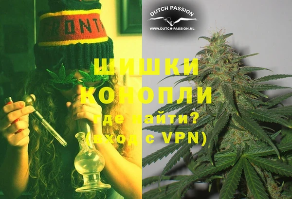 шишки Алзамай