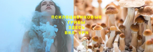 твердый Алексеевка