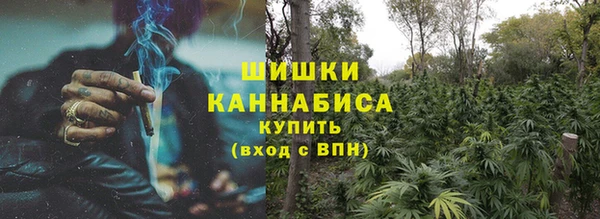 шишки Алзамай