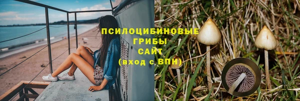 твердый Алексеевка