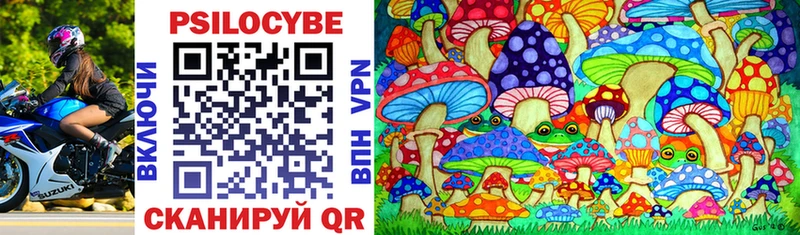 Галлюциногенные грибы Cubensis  Шебекино 