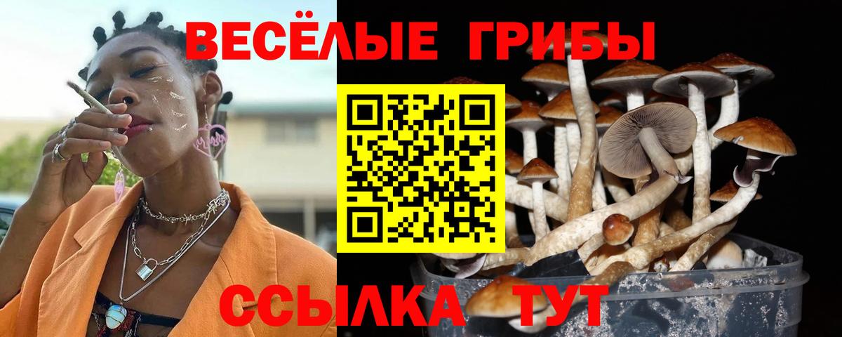 Галлюциногенные грибы прущие грибы Шебекино